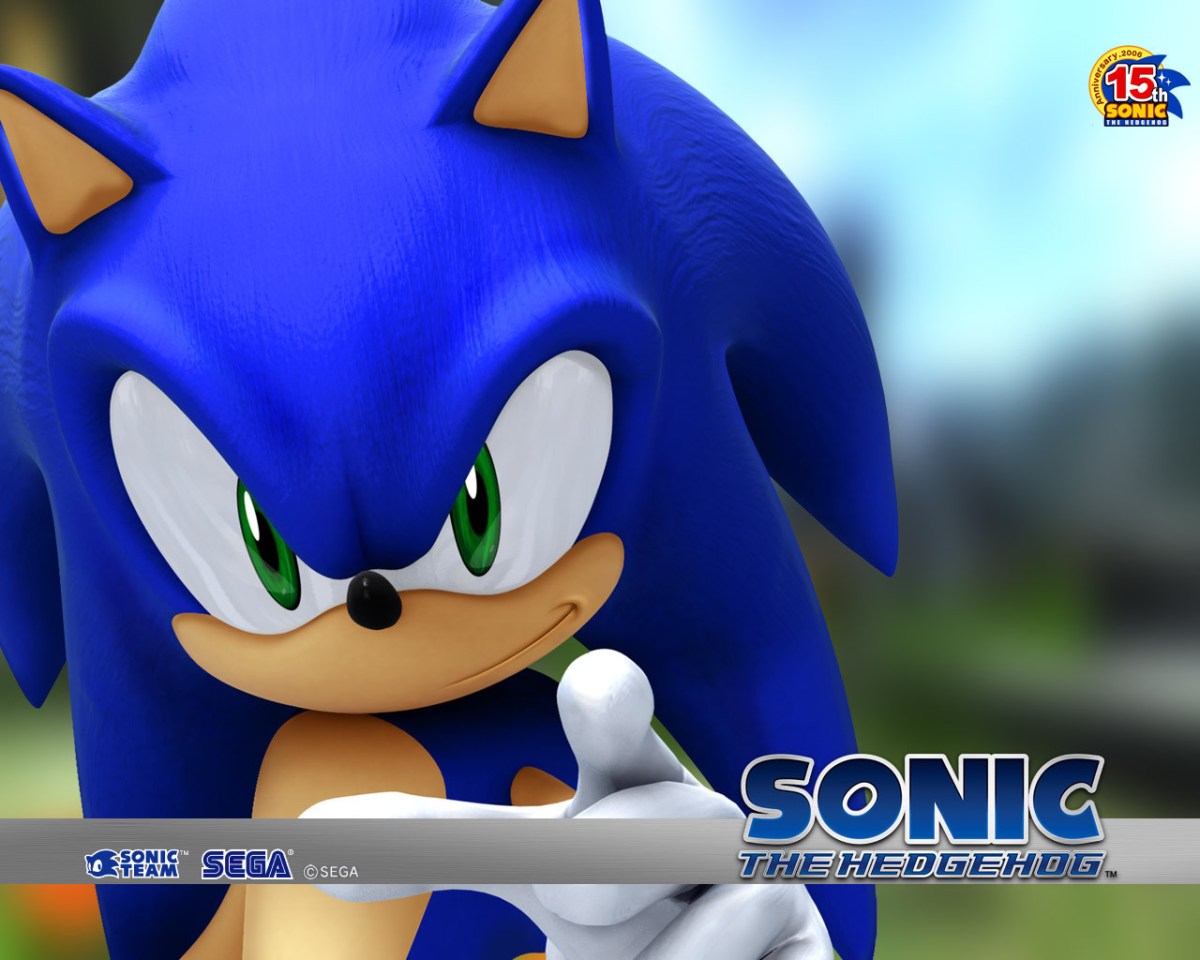 Sonic the hedgehog